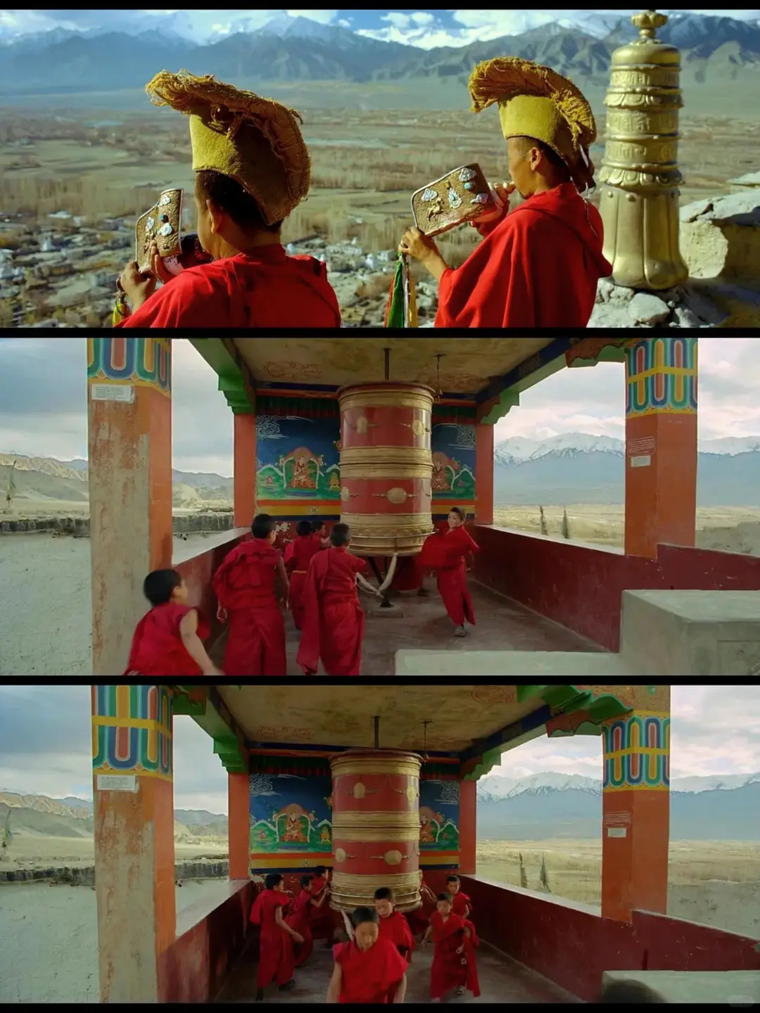 《轮回》是高分神级纪录片❗震撼心灵之作