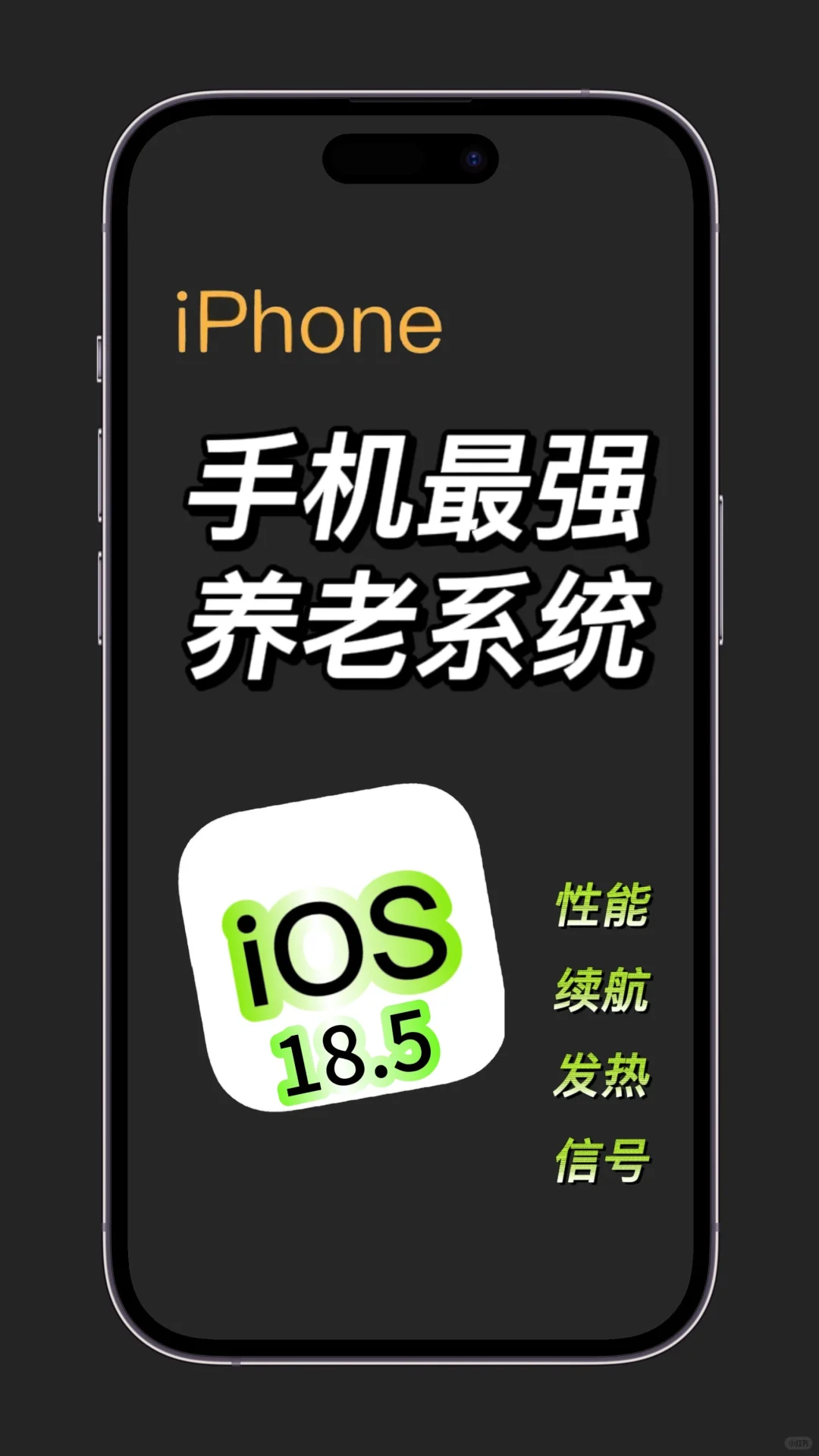 iOS 18.5 养老版终极指南！
