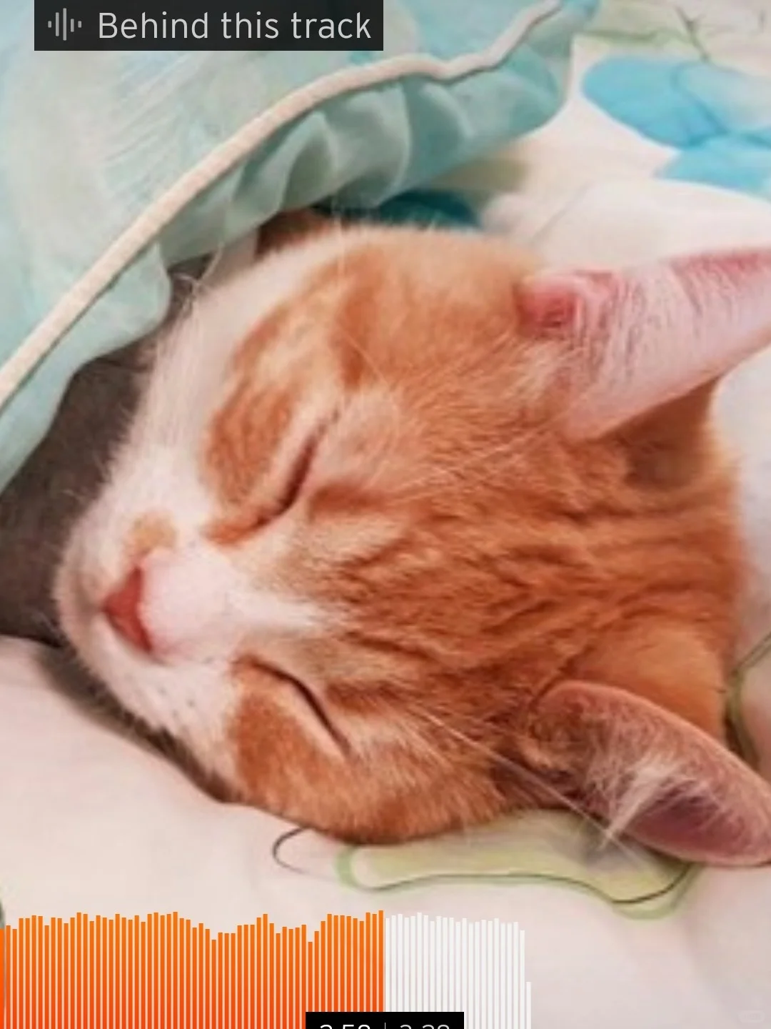 soundcloud真的是个宝藏！