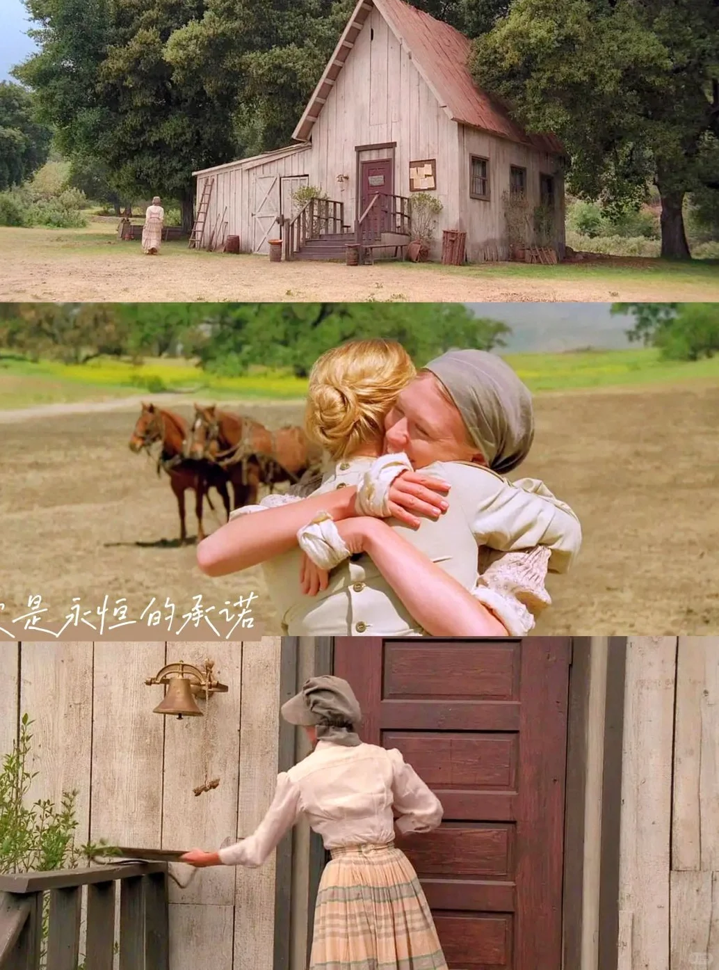 春日治愈🎬被窝里的9部治愈系电影