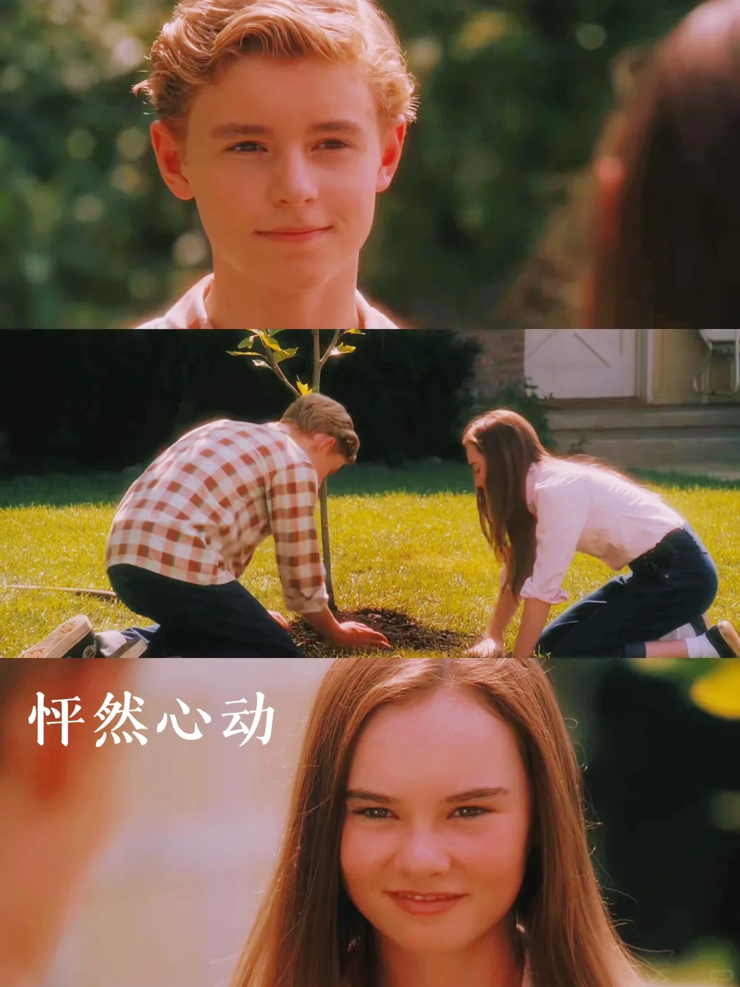 100部电影计划清单🎬