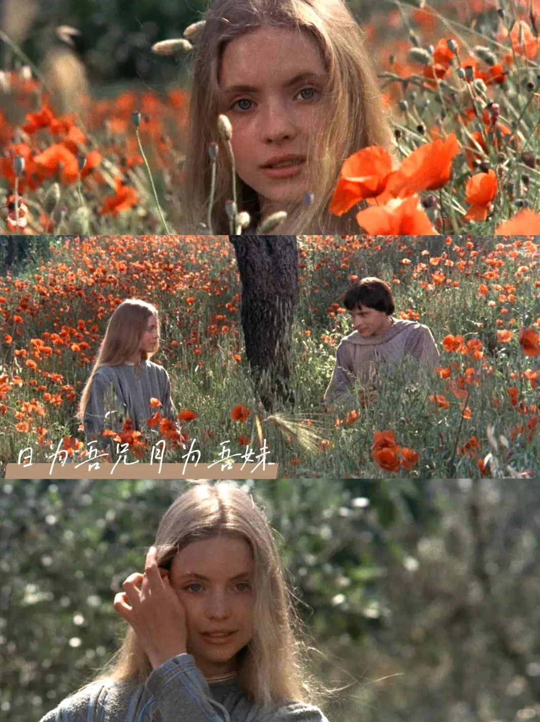 春日治愈🎬被窝里的9部治愈系电影