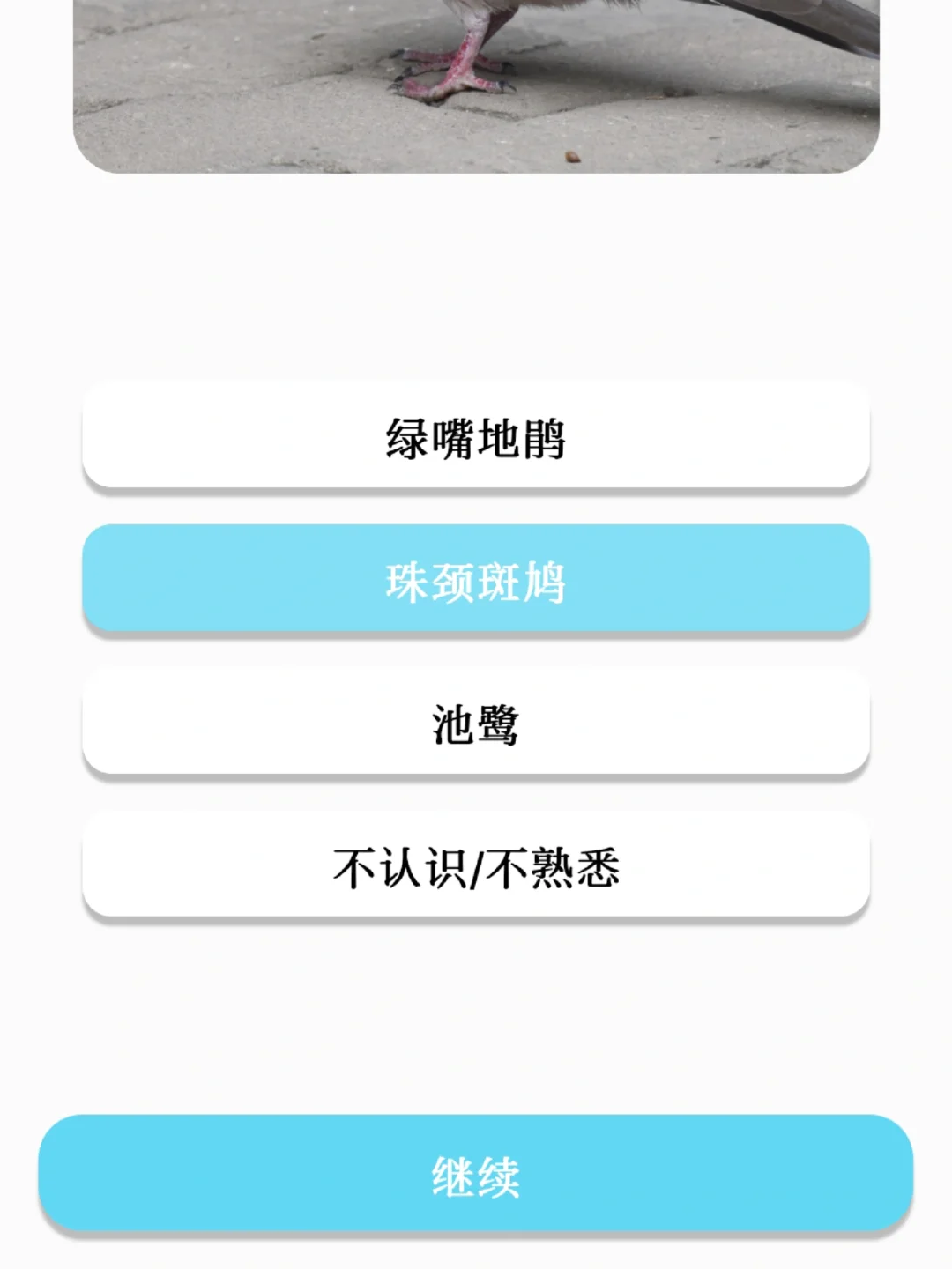 发现了一个很好的识鸟app！