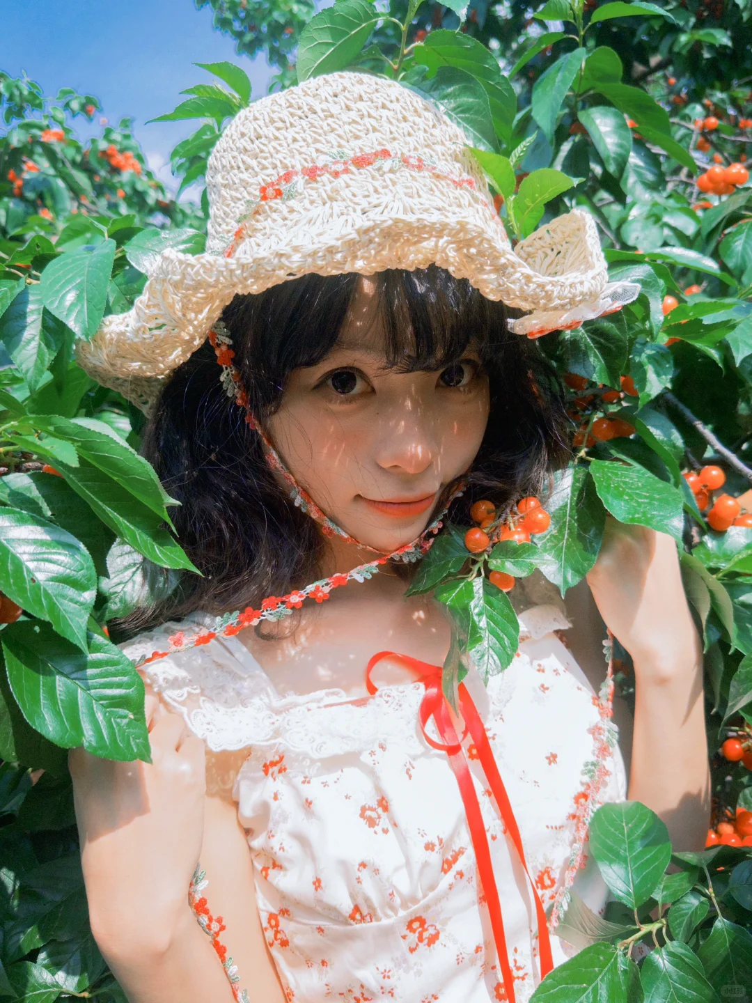 摄影博主绝对不会告诉你的胶片APP平替！