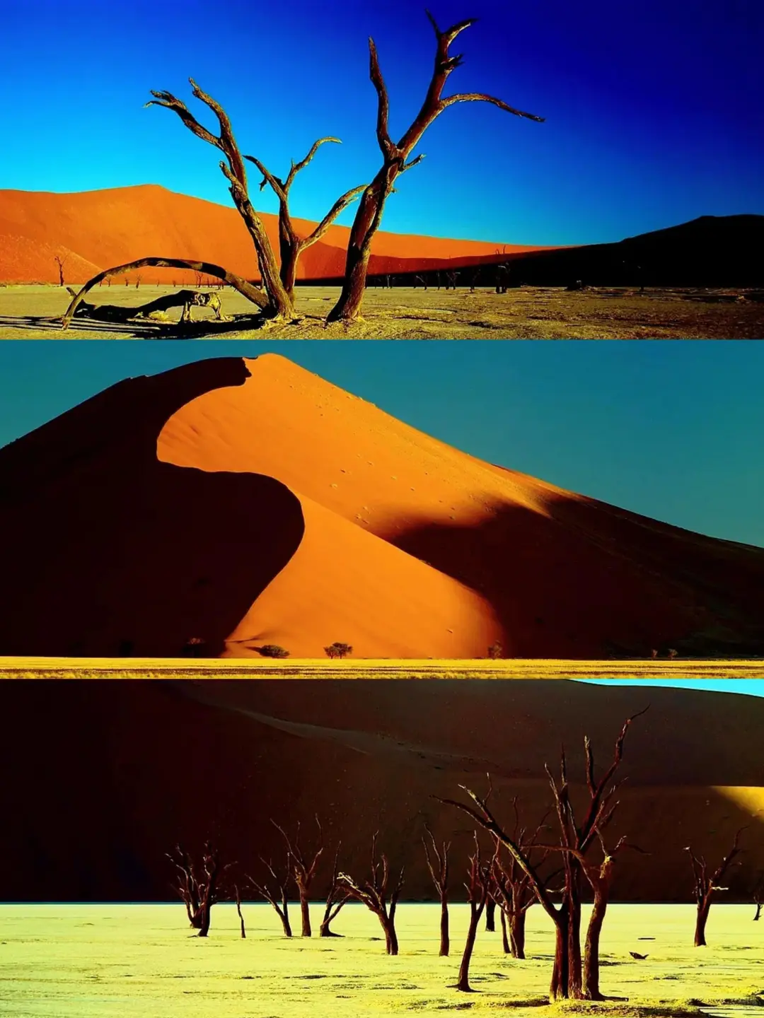 《轮回》是高分神级纪录片❗震撼心灵之作