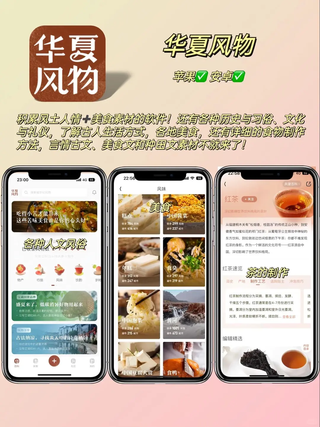 写小说必备宝藏app