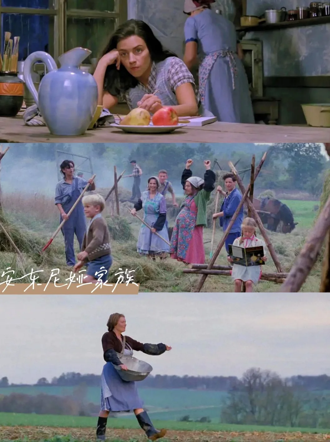 春日治愈🎬被窝里的9部治愈系电影