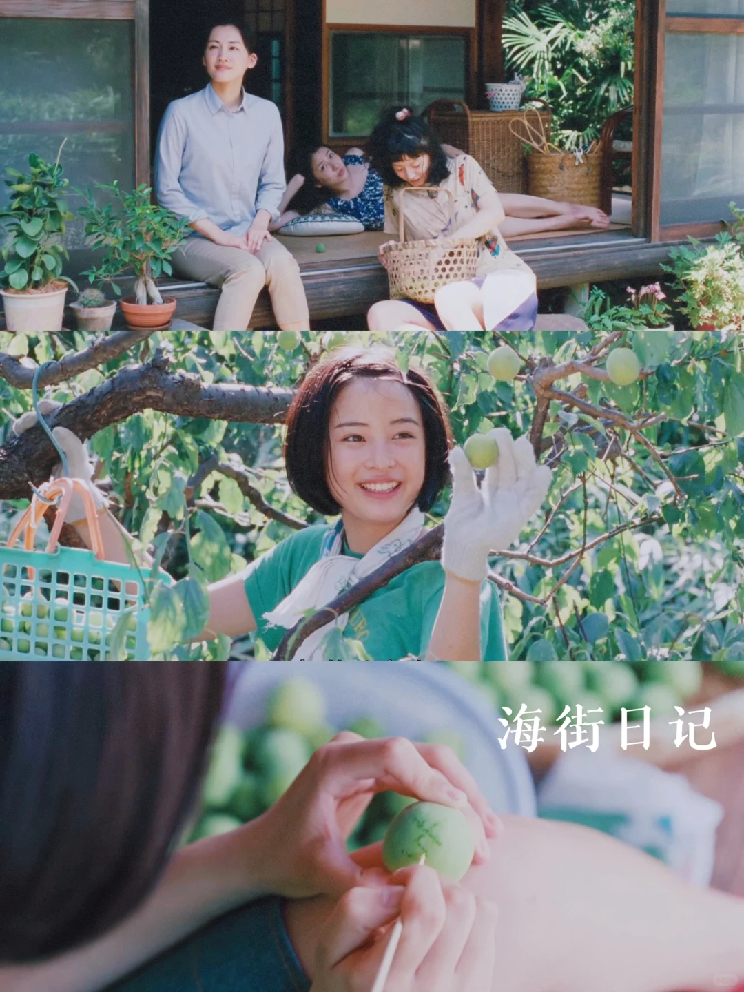 100部电影计划清单🎬