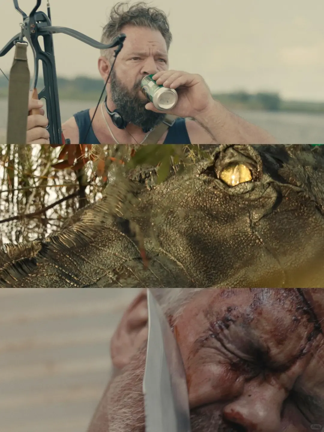 🆘这部电影真的太好看了!