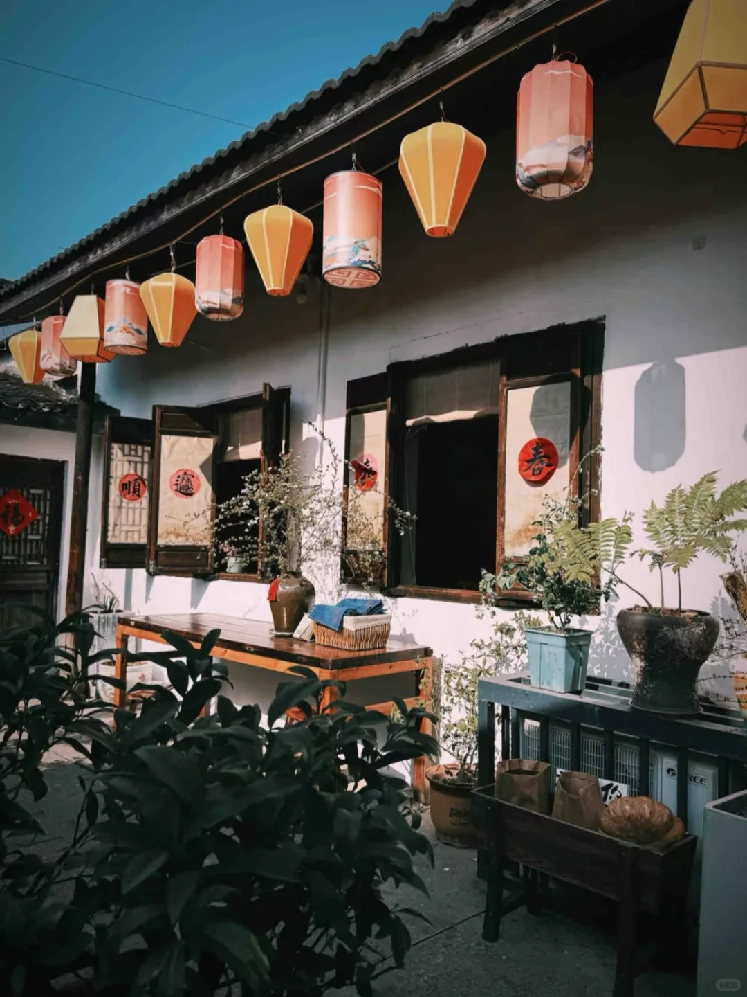 真香！2块的Dazz会员让我实现胶片自由！