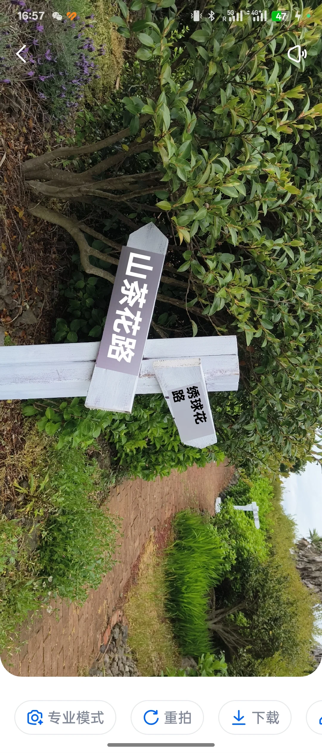 济州岛有效工具-亲测好用无广