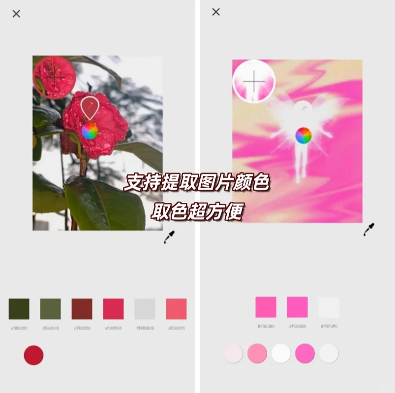 😭差点因为名字错过的宝藏调色软件