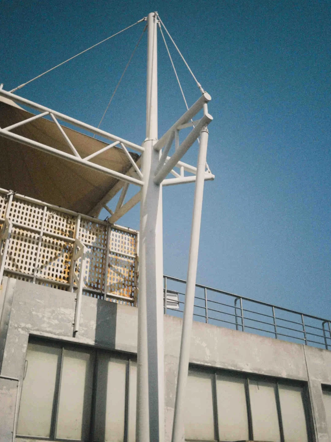 真香！2块的Dazz会员让我实现胶片自由！