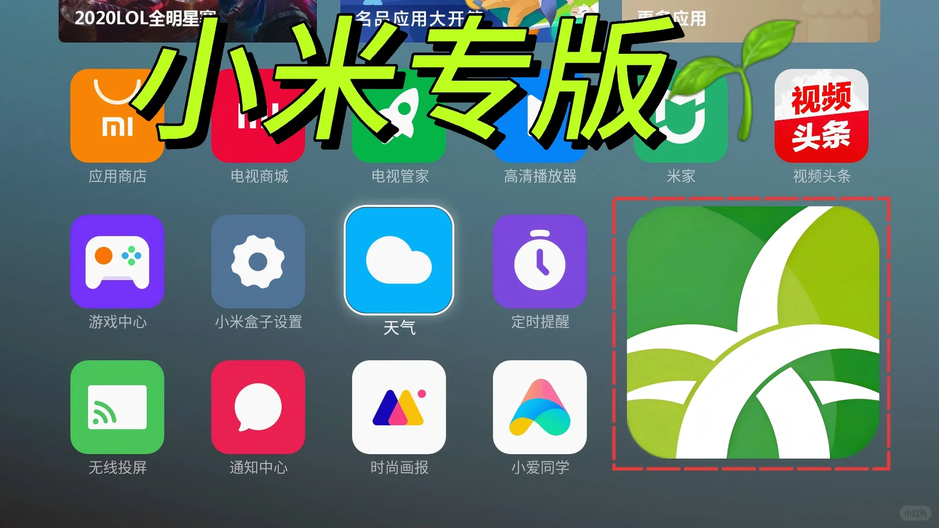 小米电视的小伙伴看过来