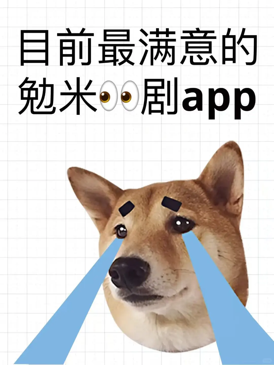 安卓 ios不用求会员了