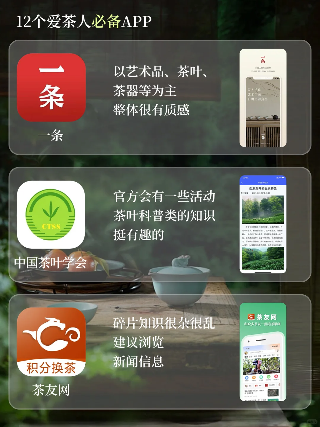 12个爱茶人必备的APP合集[看R]❗