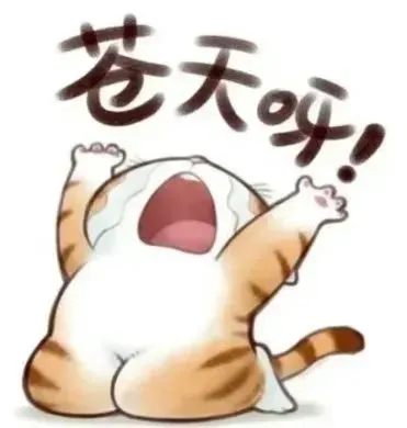 都2025年了不会还有人不知道这个APP吧