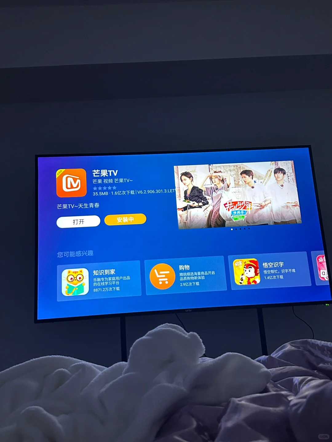 芒果tv全屏会员电视端用不了！！！！