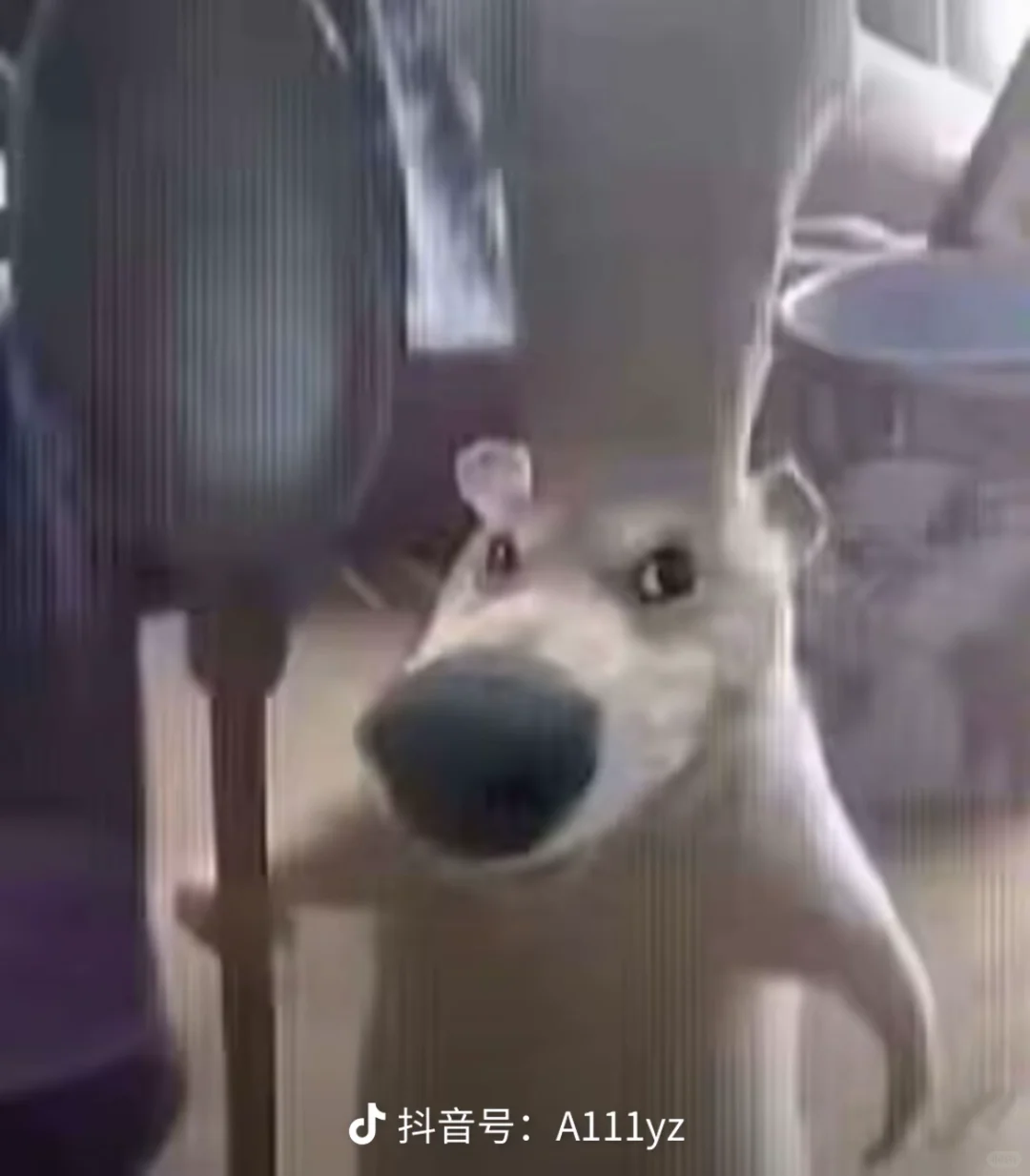 iOS18相册没人吐槽难用吗