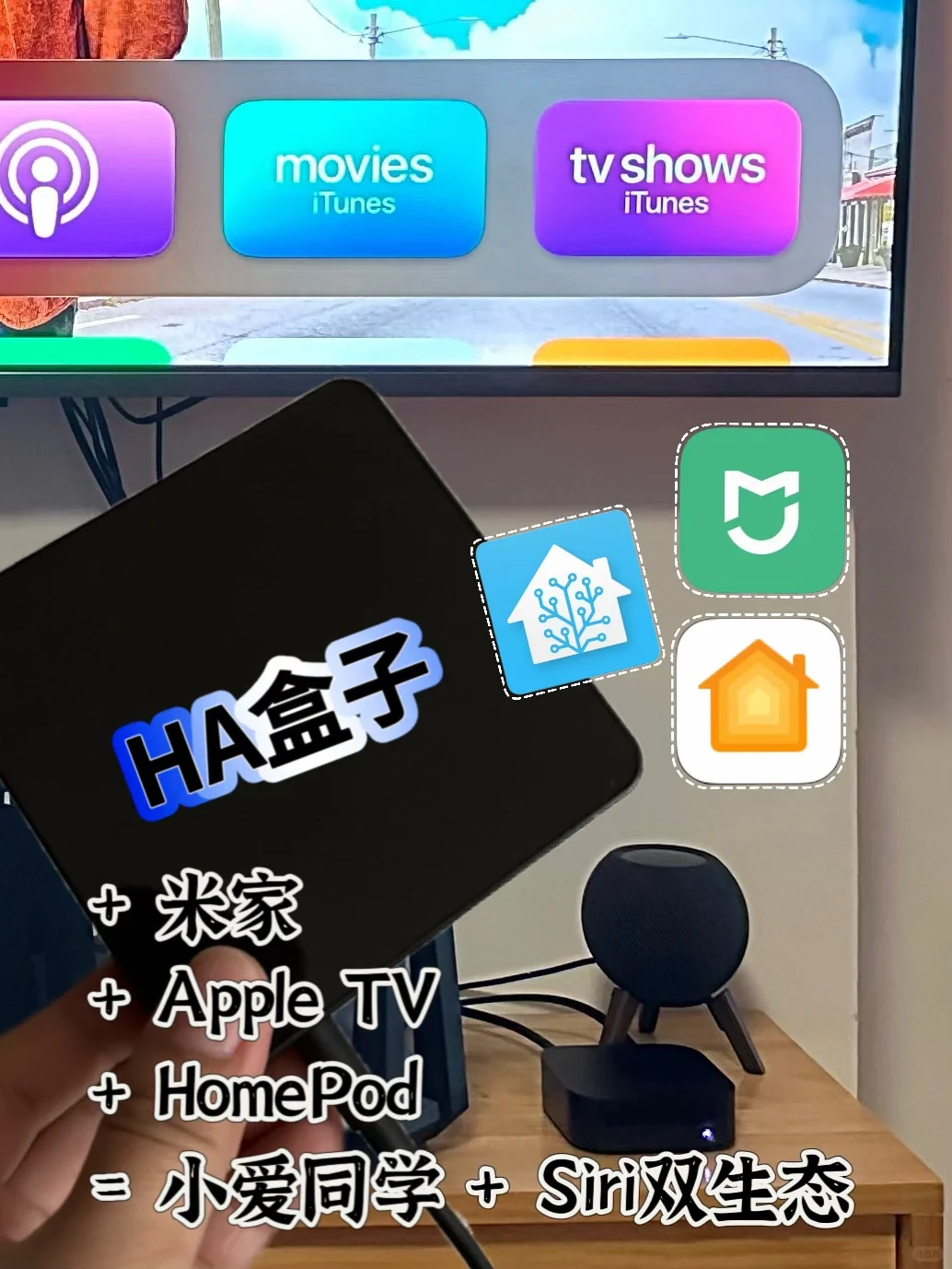 只需HA盒子，新手无难度搞定小爱+Siri双生态