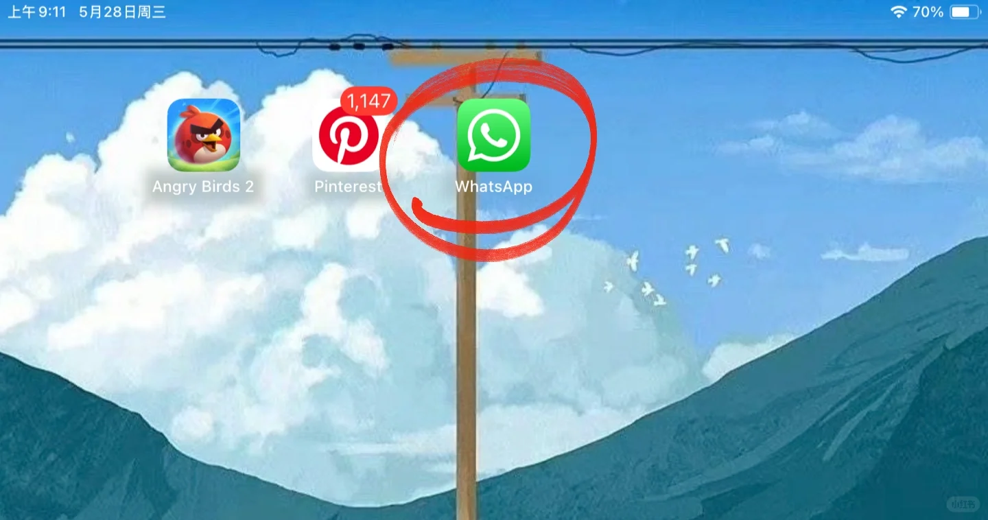 🇲🇾Ipad版 WhatsApp终于来了