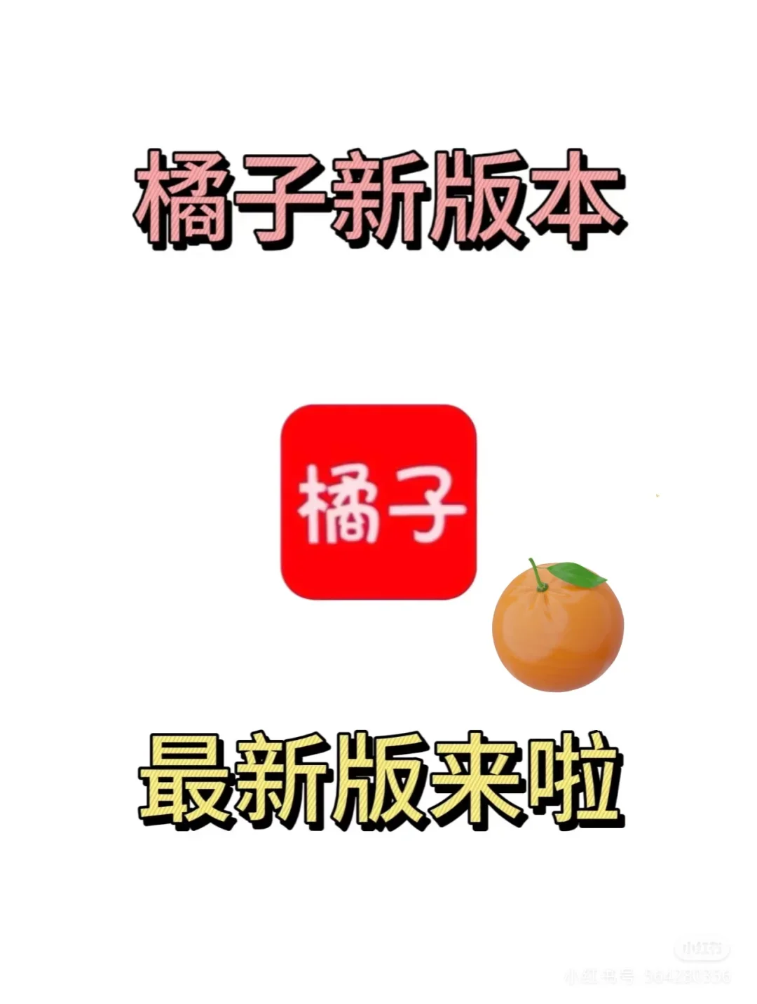 最新橘子已回来了!