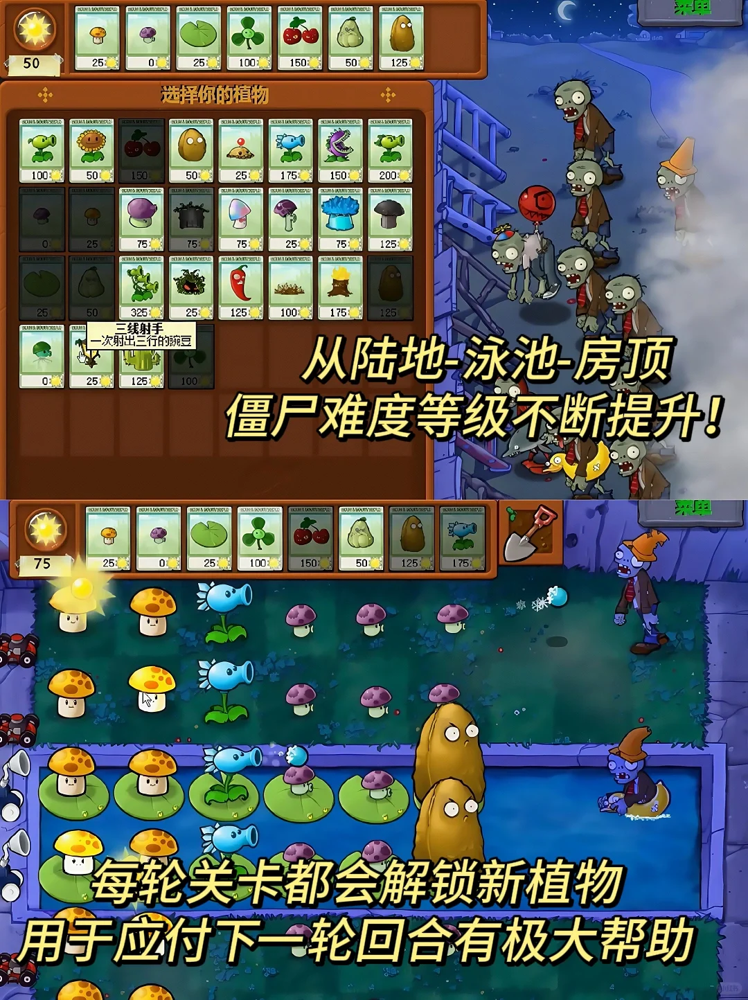 回忆杀❗️植物大战僵尸经典版（手游原版）