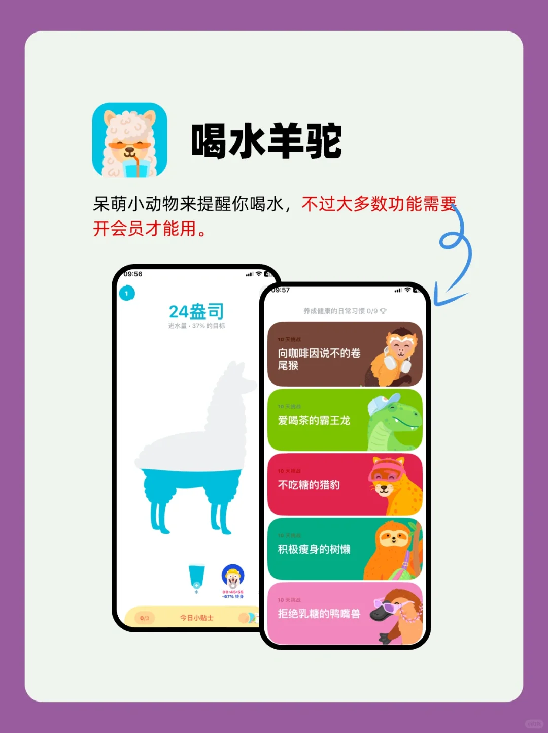 减脂必备：三款高效APP推荐