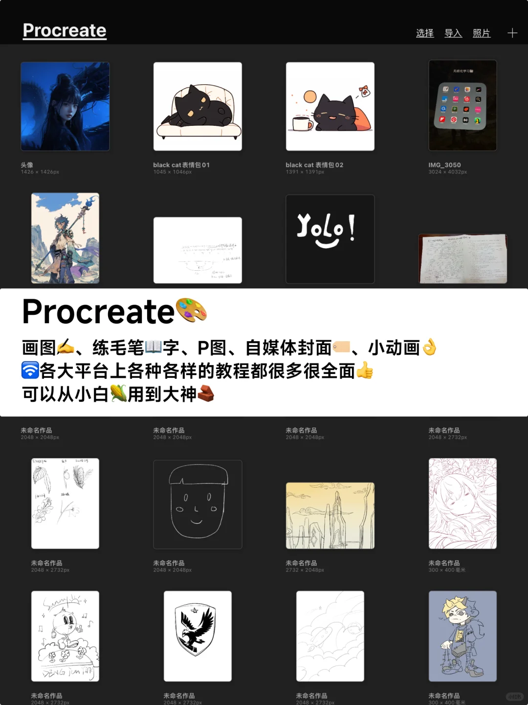 👊iPad无纸化学习6年｜这8个APP就够了(上)