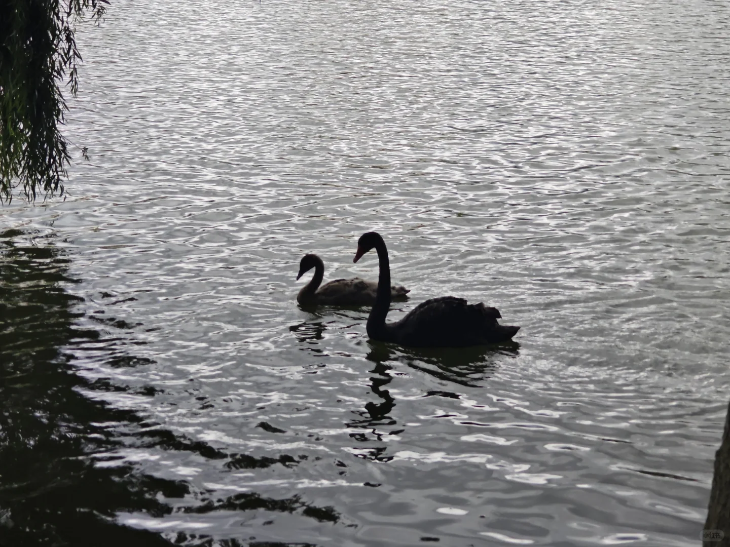 卸载电脑软件的方法，为了防止找不到