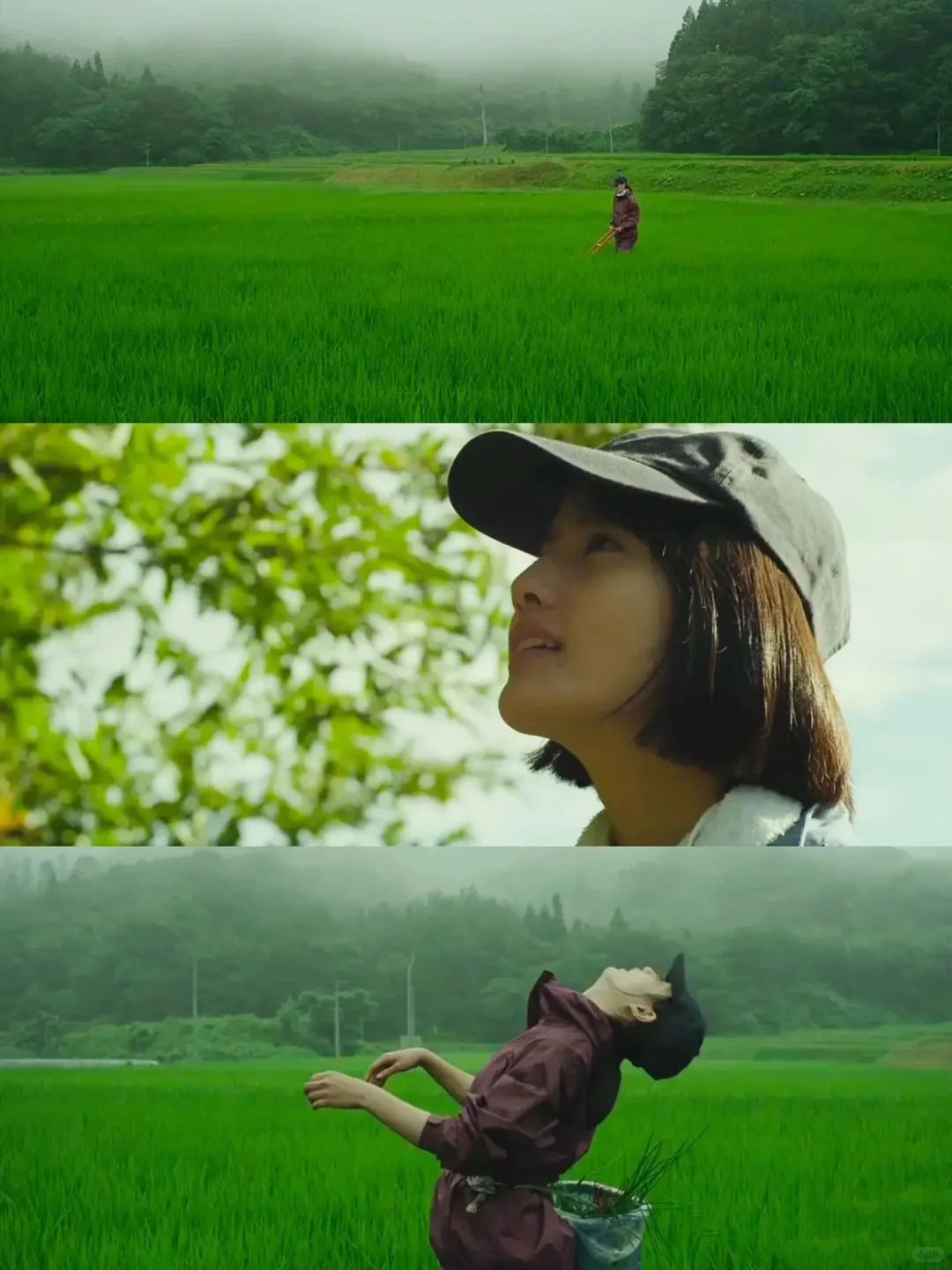 豆瓣9.0分，这才是真正“向往的生活”❗️❗️