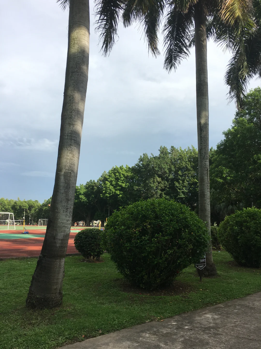 iPhone6s后续 安全下车！