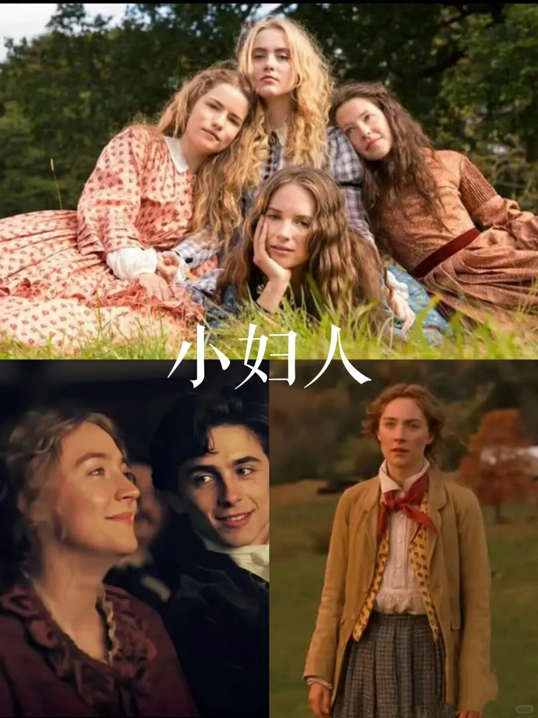 不想看书时就看这8部电影、提升审美、励志