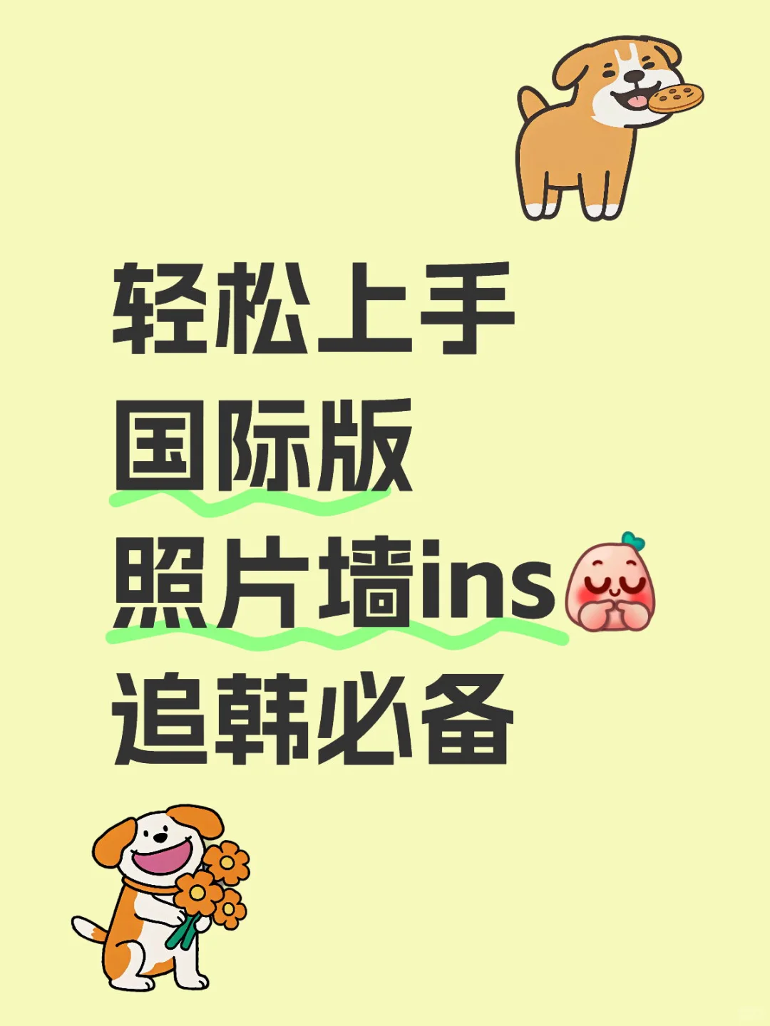 ins使用，你都会了吗