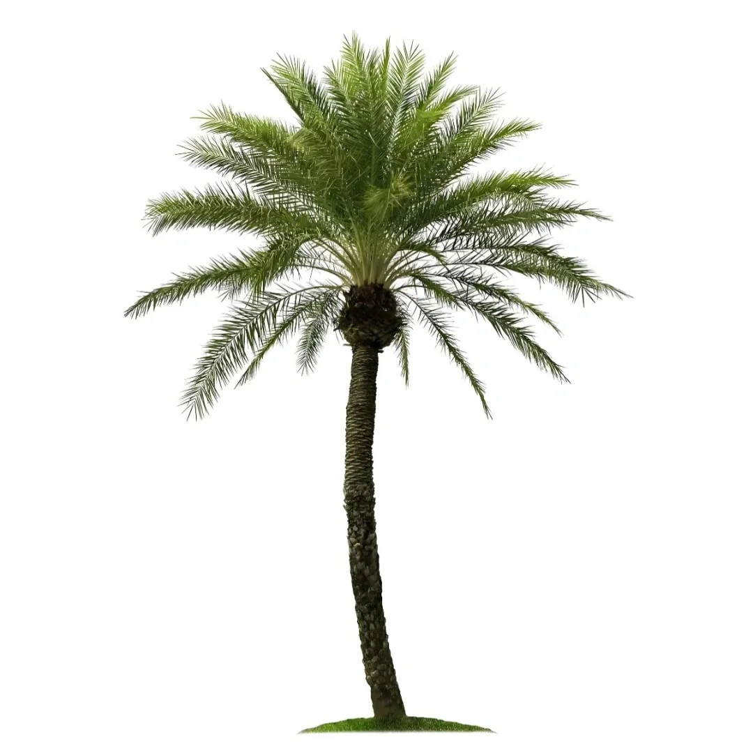 iOS手机桌面布局 | 极度治愈（附教程➕素材）