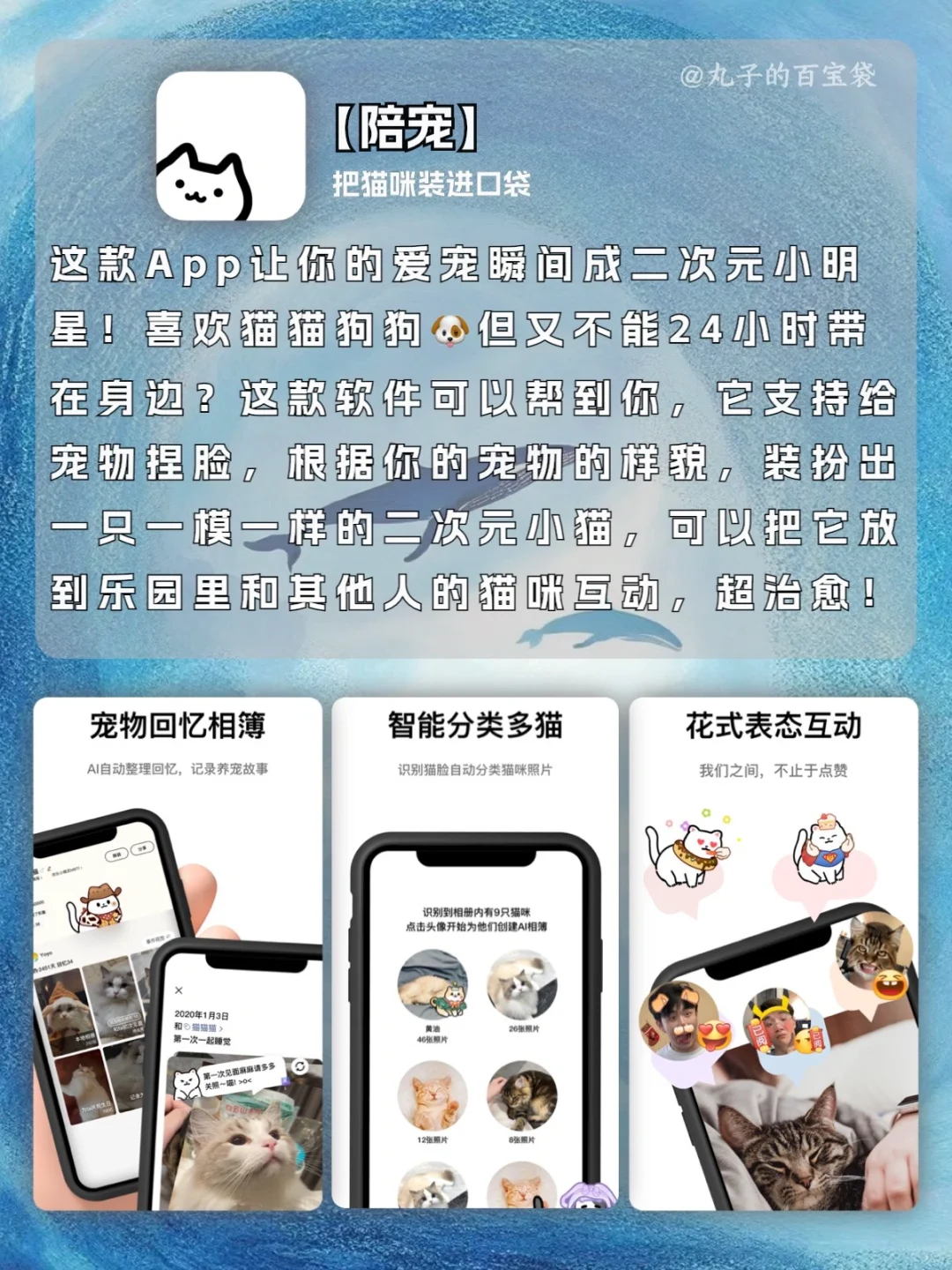 有趣好用的APP 💗总忍不住想分享给你们