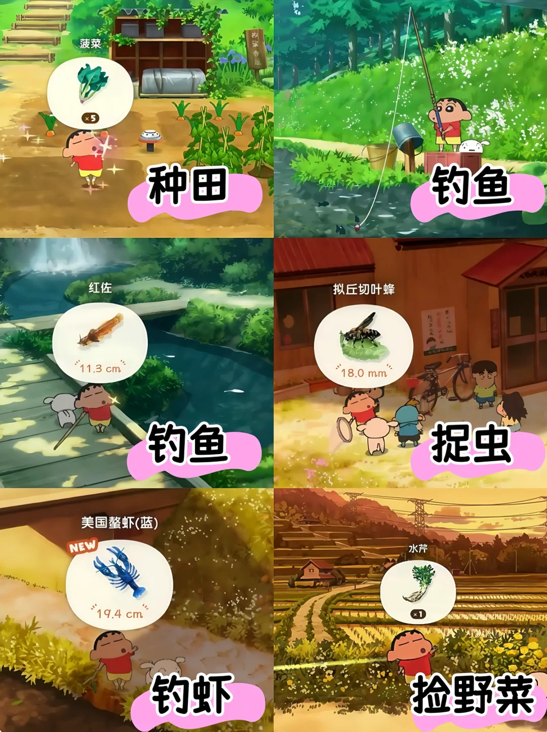 开服了🔥煤炭镇的小白iOS手游