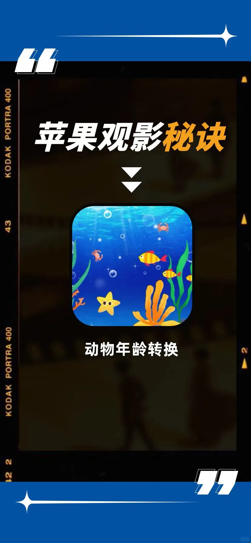 实用iOS追剧软件分享免费苹果追剧APP