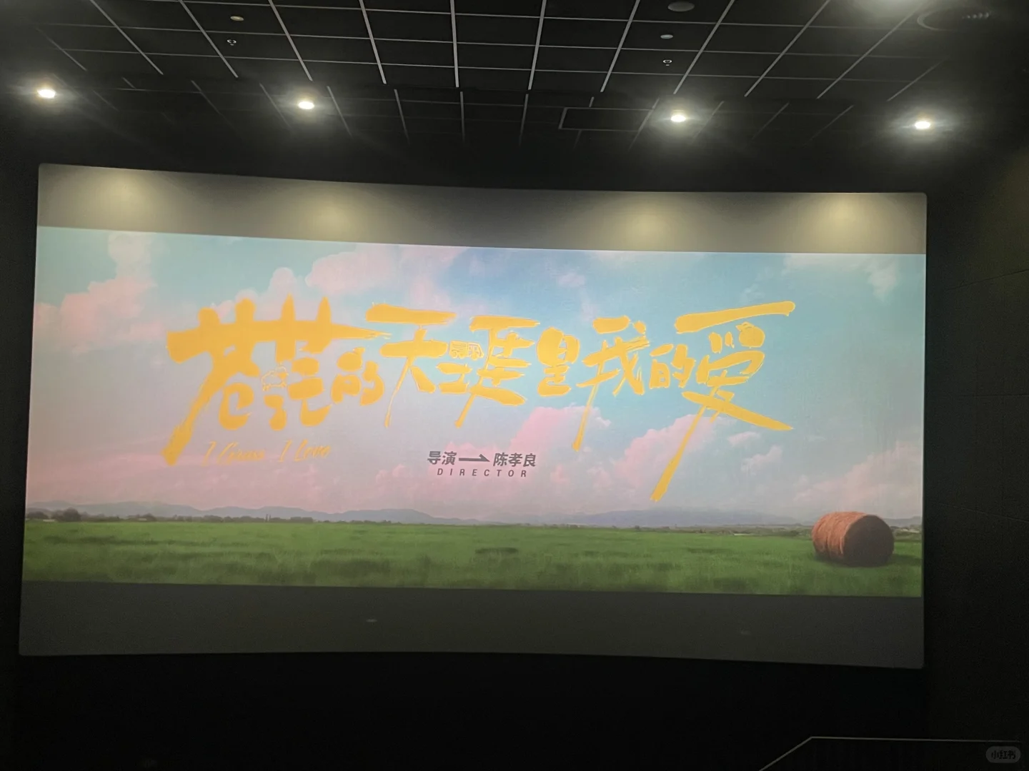 人生第一次与妈妈看电影🎬