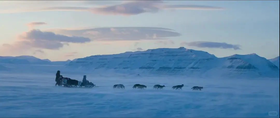 碟中谍8上映，阿汤哥以后不再拍摄动作片了？