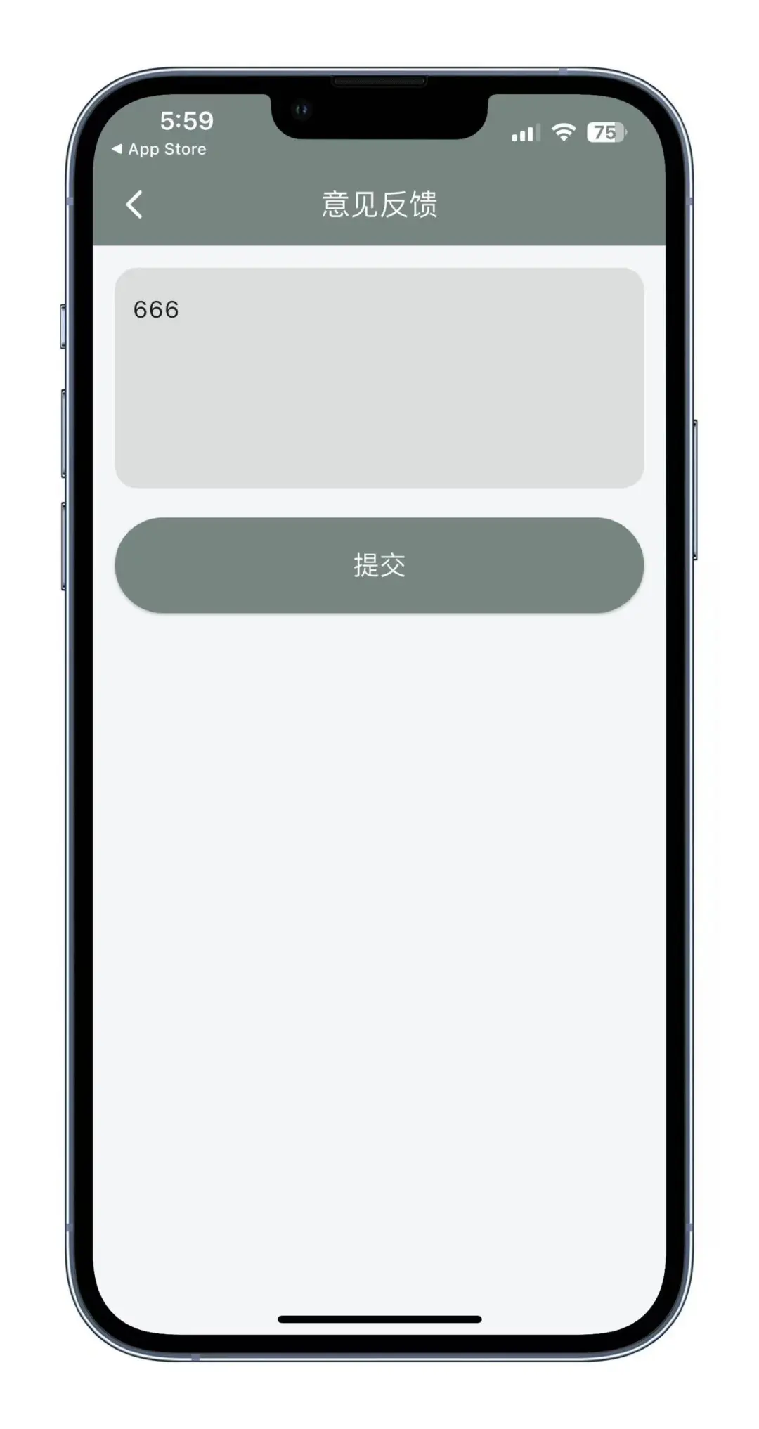 松子!iOS伪装上架！