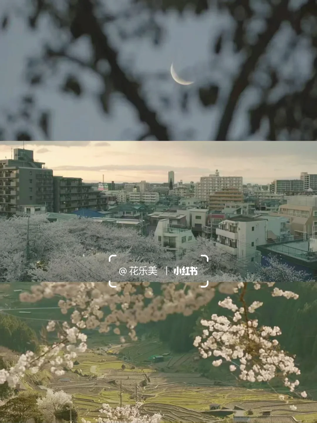 看哭了😭今年看过最好看的电影，没有之一‼️