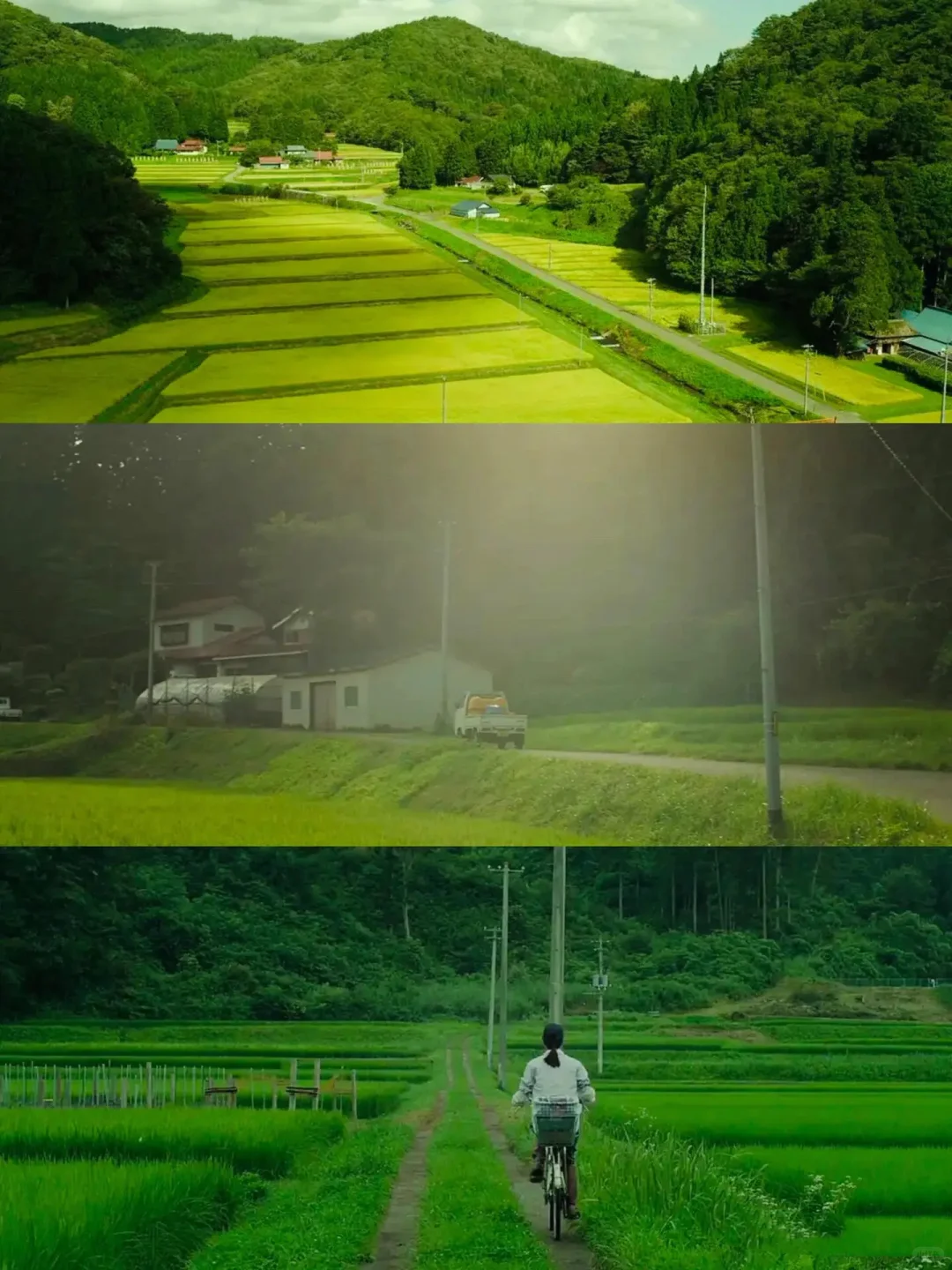 豆瓣9.0分，这才是真正“向往的生活”❗️❗️