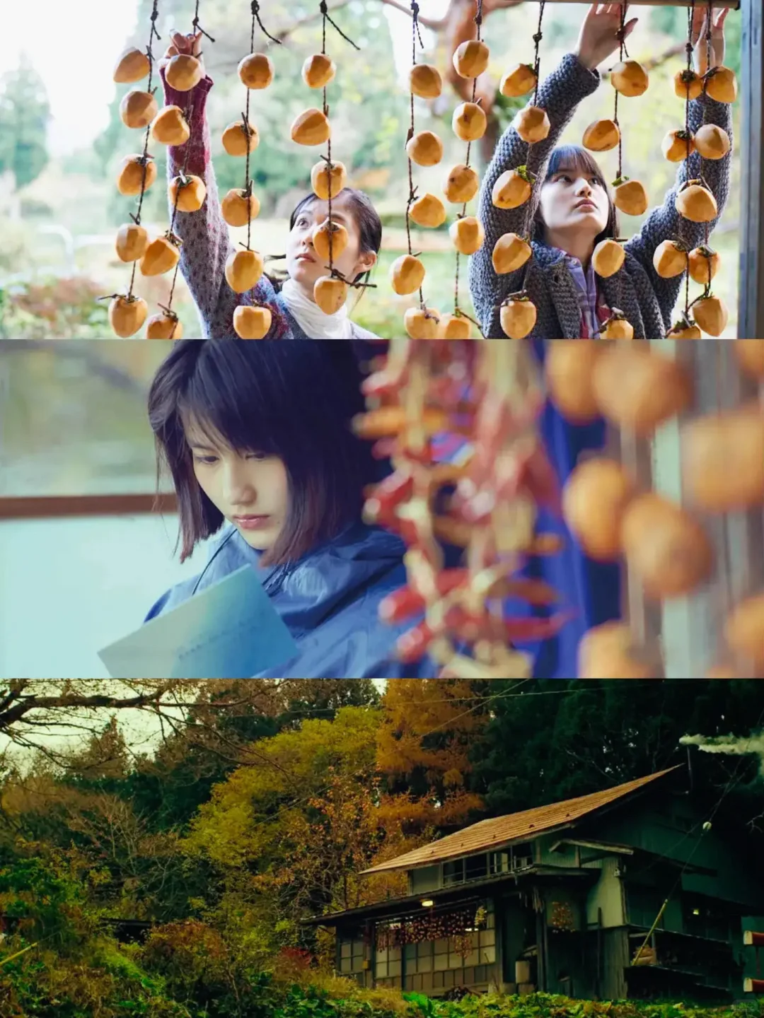 豆瓣9.0分，这才是真正“向往的生活”❗️❗️