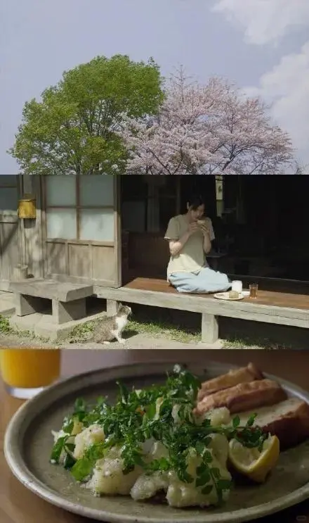 豆瓣9.0分，这才是真正“向往的生活”❗️❗️