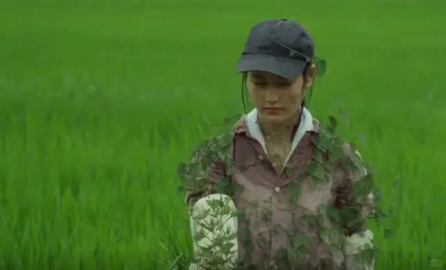 豆瓣9.0分，这才是真正“向往的生活”❗️❗️