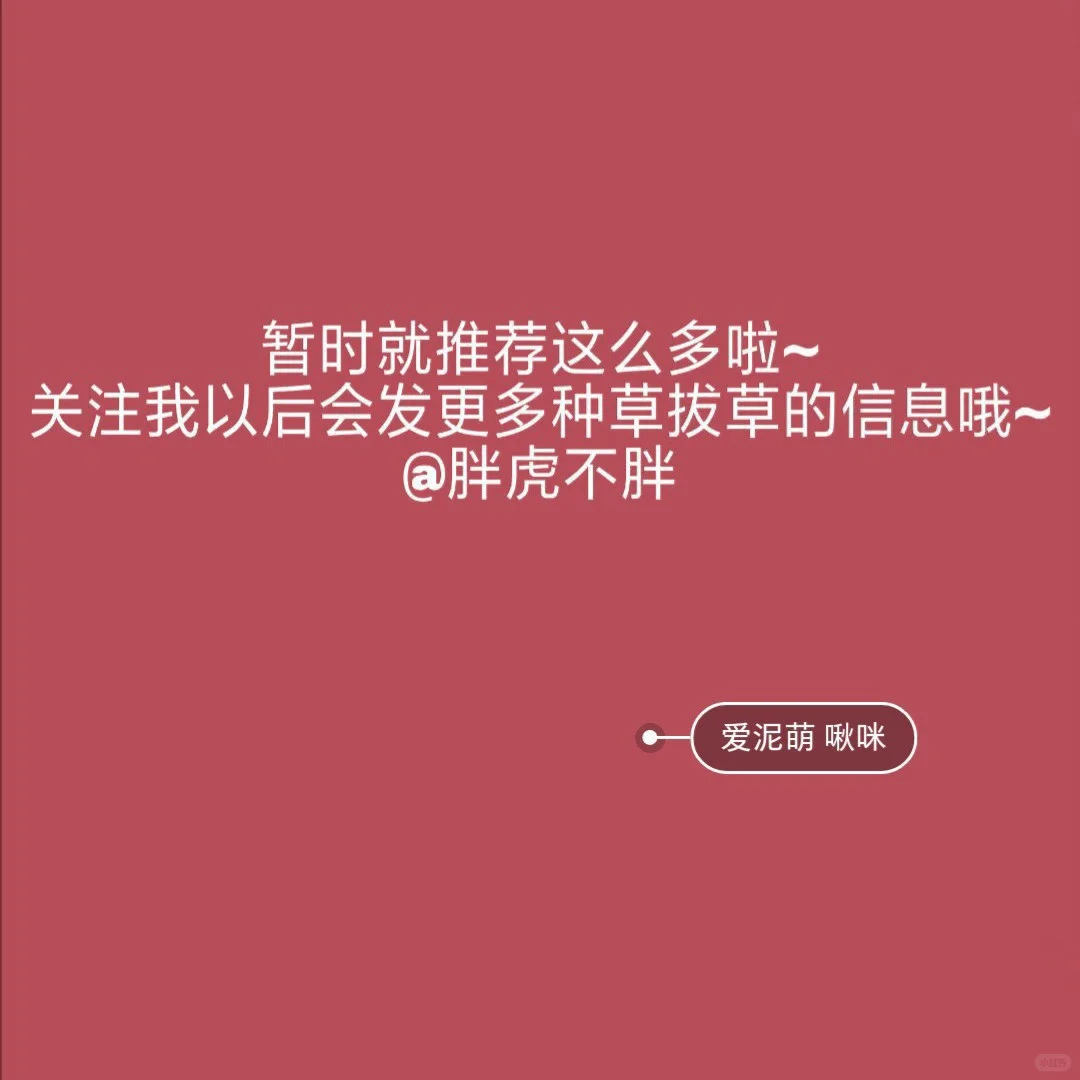 小众又实用APP安利🌈||