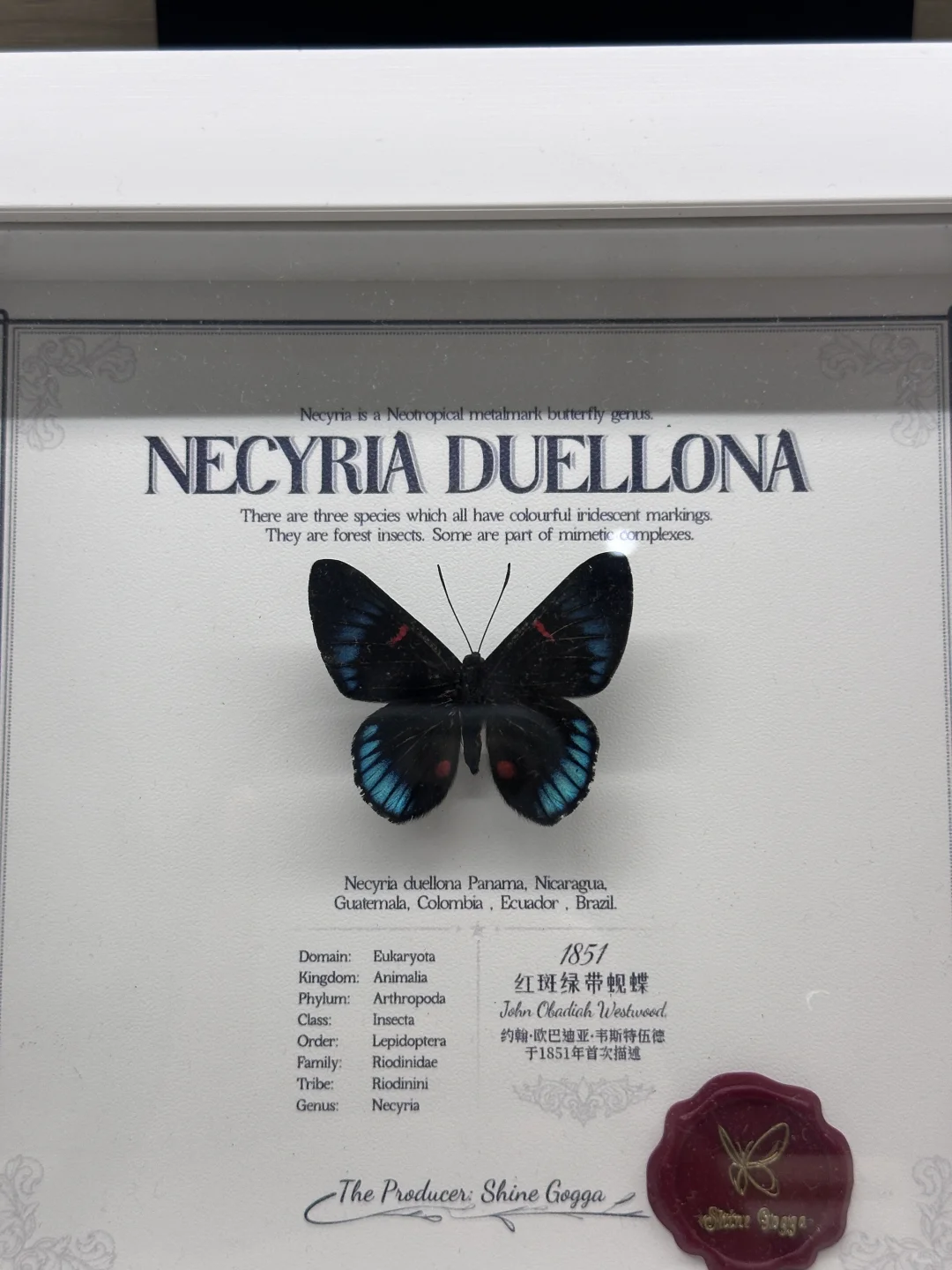 有没有接安卓app大作业的？