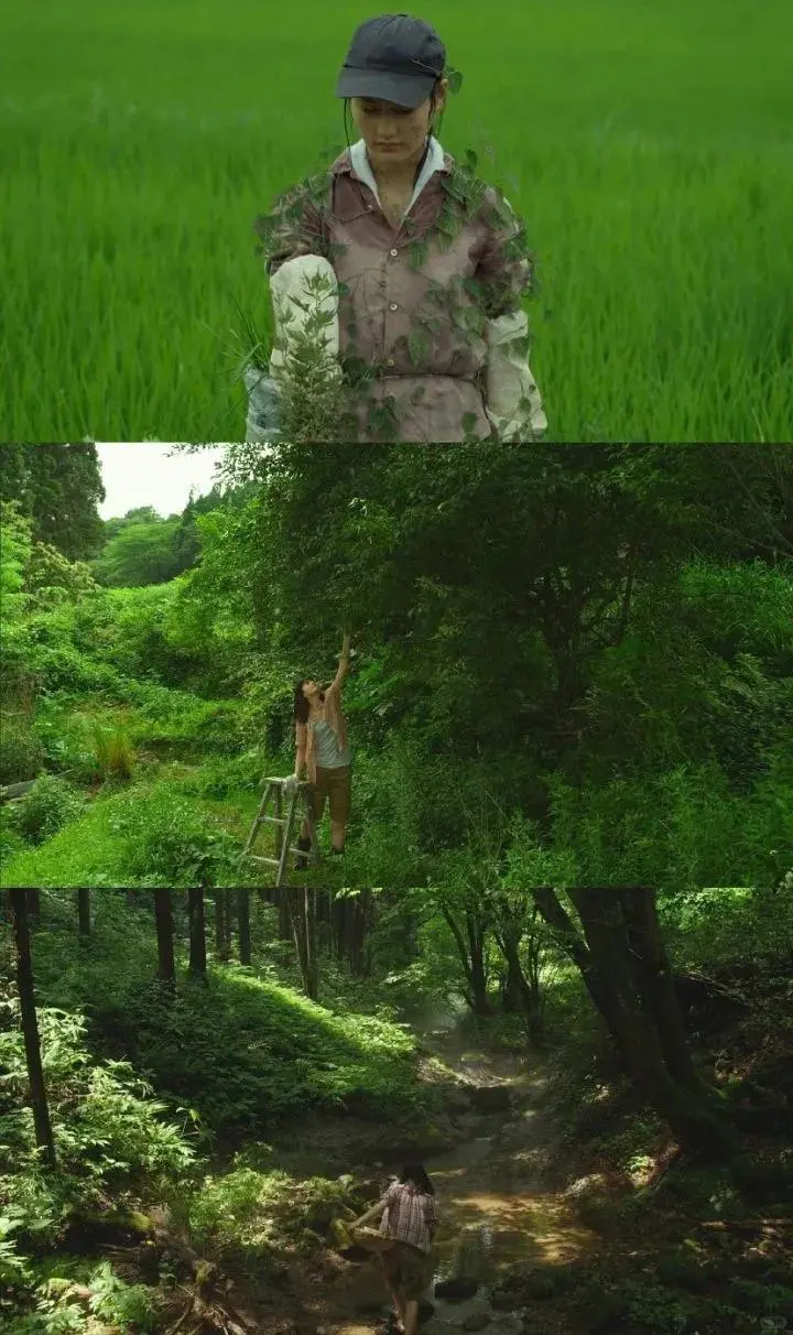 豆瓣9.0分，这才是真正“向往的生活”❗️❗️