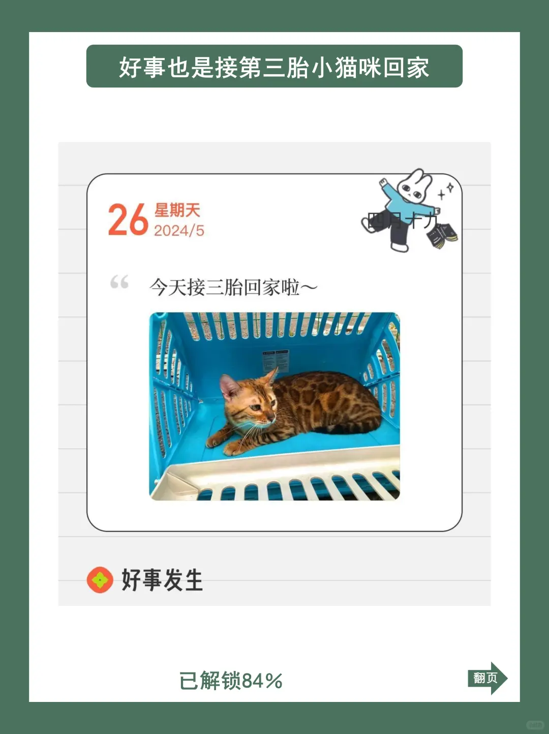 刷到这篇的宝子真的好运气😍好事会发生～